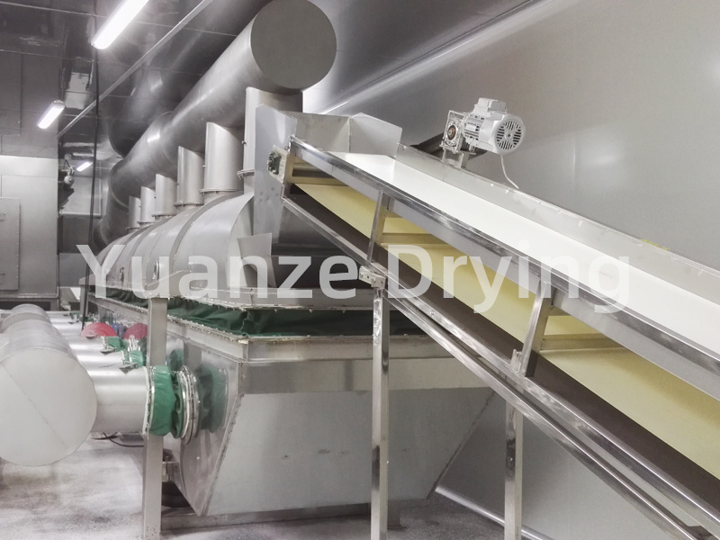 Ammonium sulfate specific vibrating fluidized bed dryer
